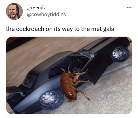 cockroach prada meme|A Cockroach Is A Viral Star After Walking The Met Gala Red Carpet.